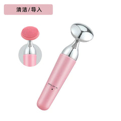 Electric Facial Cleansing and Massage Device