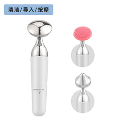 Electric Facial Cleansing and Massage Device