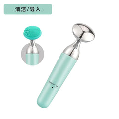 Electric Facial Cleansing and Massage Device
