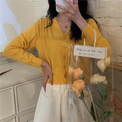 V-Neck Ice Silk Lightweight Long Sleeve Cardigan Top