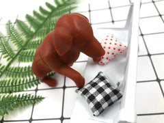 Silicone Hot Dog Tea Infuser with Color Box Packaging