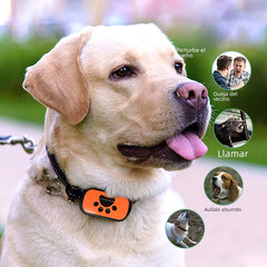 Smart Ultrasonic Rechargeable Dog Bark Control Collar