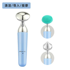 Electric Facial Cleansing and Massage Device