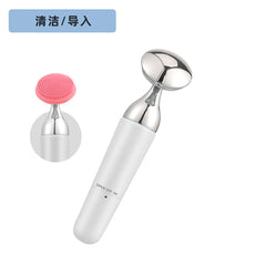 Electric Facial Cleansing and Massage Device